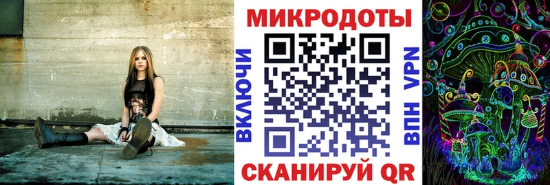 Купить  Дербент  Галлюциногенные грибы Psilocybine cubensis 