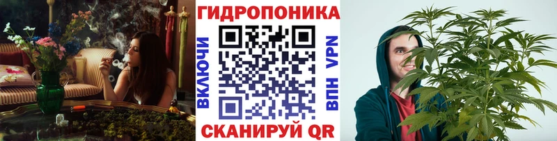 Марихуана SATIVA & INDICA  Купить  Дербент 